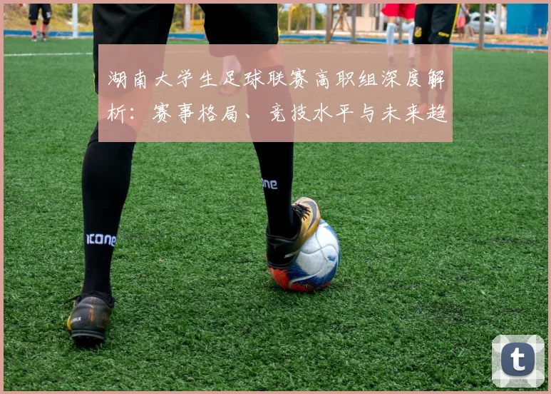 湖南大学生足球联赛高职组深度解析：赛事格局、竞技水平与未来趋势