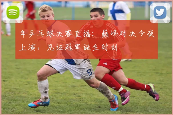年乒乓球决赛直播:巅峰对决今夜上演,见证冠军诞生时刻