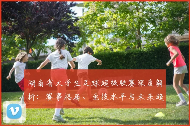 湖南省大学生足球超级联赛深度解析:赛事格局、竞技水平与未来趋势